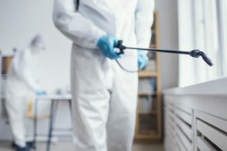 Insectes nuisibles à la maison : pourquoi les Français font de plus en plus appel à un professionnel ?