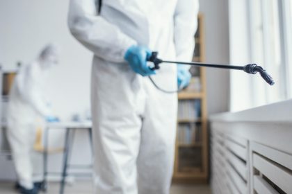 Insectes nuisibles à la maison : pourquoi les Français font de plus en plus appel à un professionnel ?